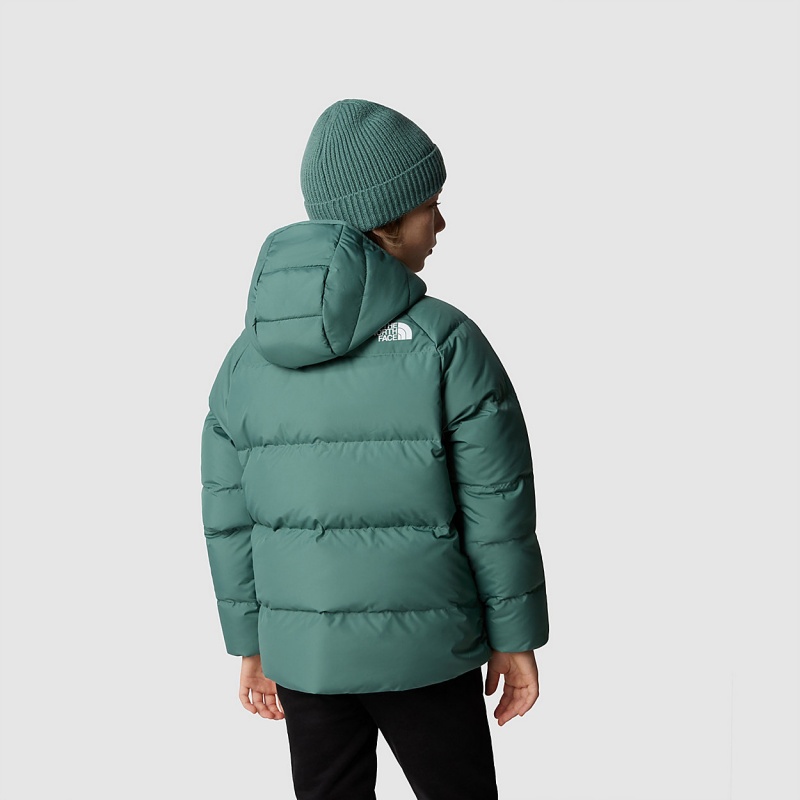 The North Face Reversible North Down Hooded Jacket Dark Sage | DQSMCI-076