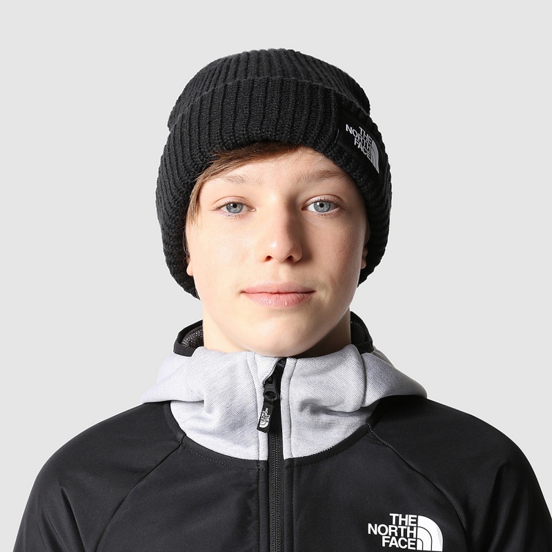 The North Face Salty Dog Beanie Tnf Black | KSGVFZ-197