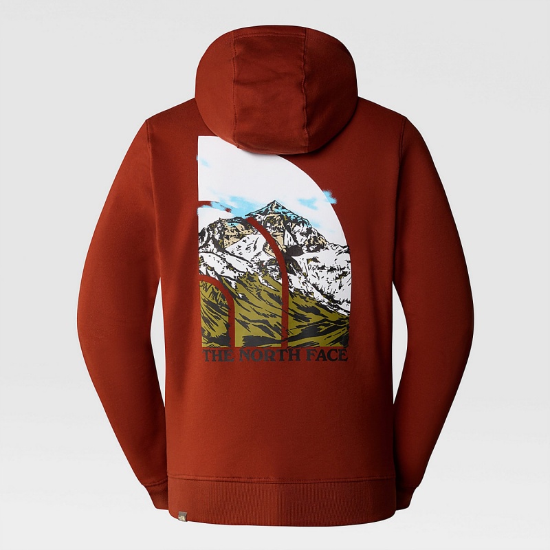 The North Face Seasonal Graphic Hoodie Brandy Brown | SOCMBN-391