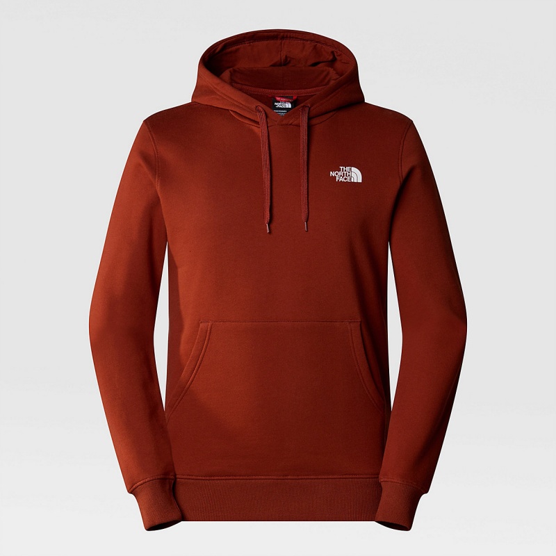 The North Face Seasonal Graphic Hoodie Brandy Brown | SOCMBN-391