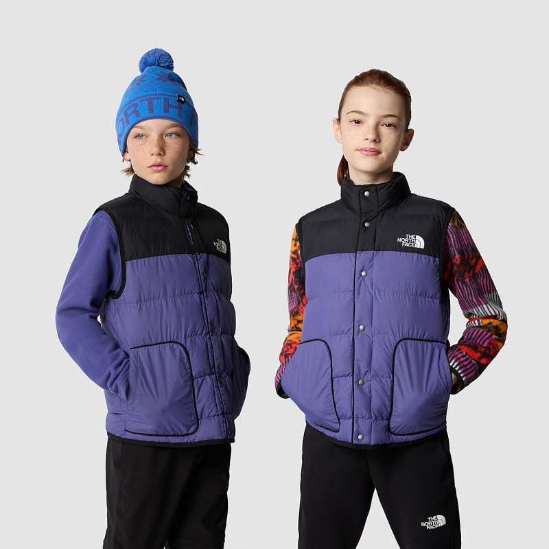 The North Face Synthetic Insulation Lifestyle Gilet Cave Blue - Tnf Black | CIHJTN-403