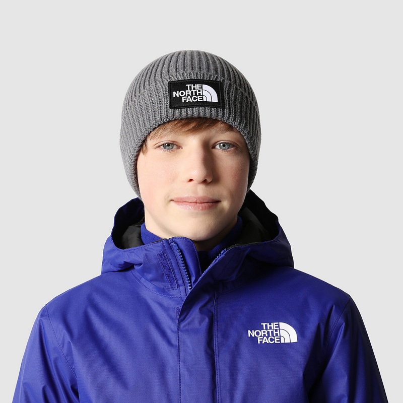 The North Face TNF Box Logo Cuff Beanie Tnf Medium Grey Heather | OFUHYQ-981