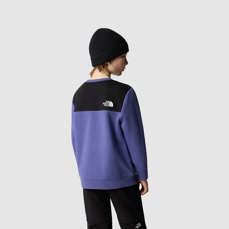 The North Face Tech Sweater Cave Blue | GTURCO-162