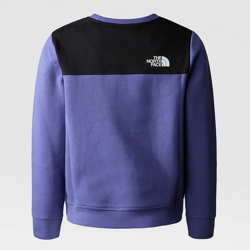 The North Face Tech Sweater Cave Blue | GTURCO-162