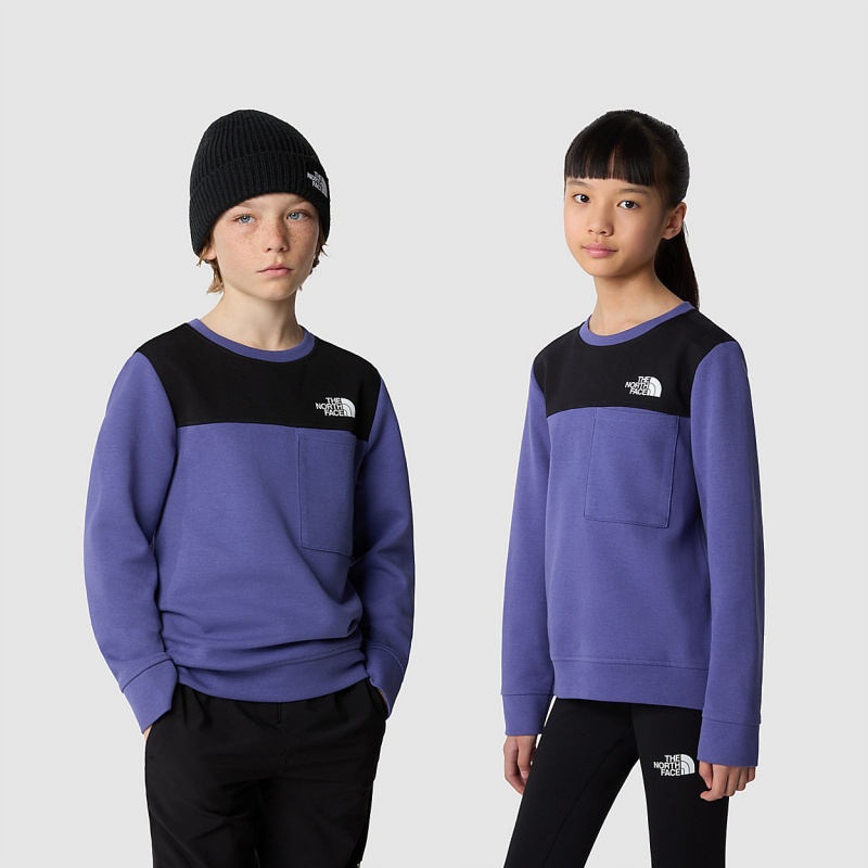 The North Face Tech Sweater Cave Blue | GTURCO-162