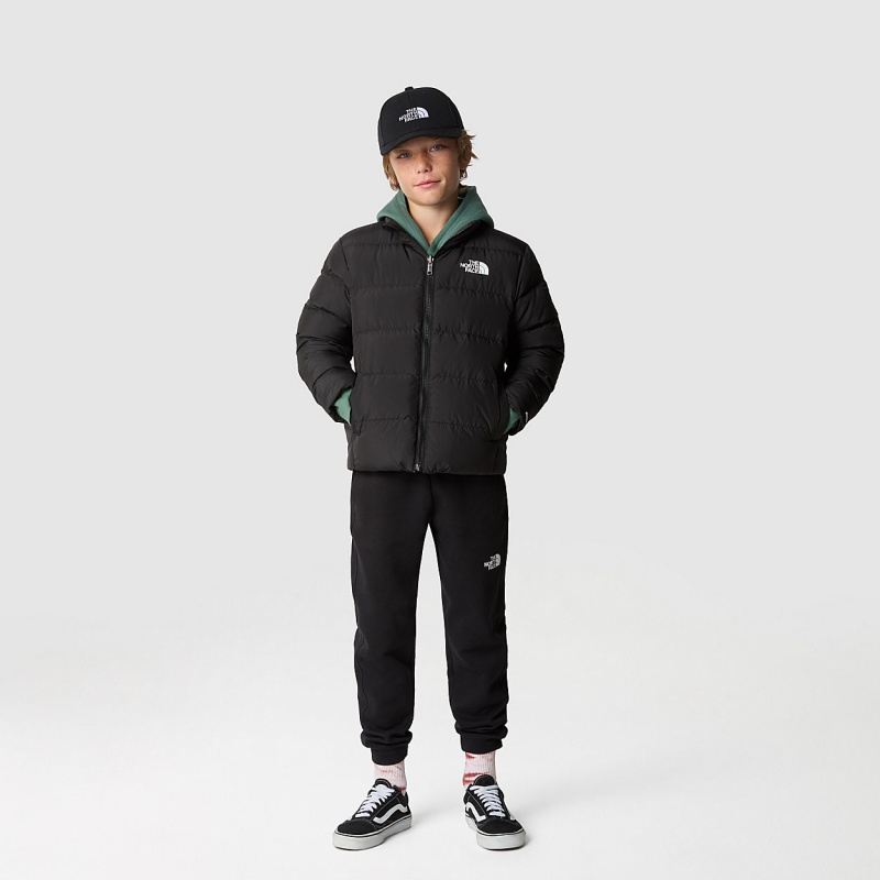 The North Face Teen's Reversible North Down Jacket Tnf Black | RSFWPN-970