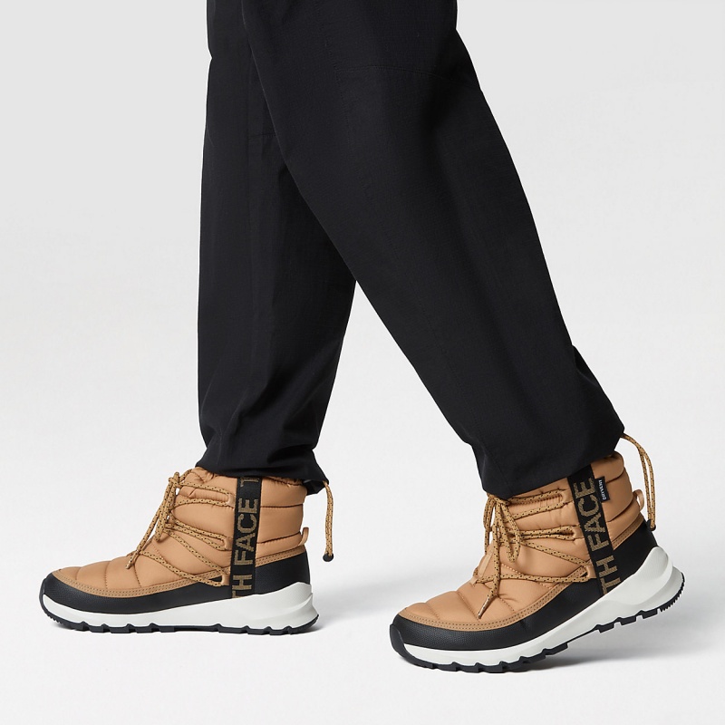 The North Face ThermoBall™ Waterproof Lace Up Winter Boots Almond Butter/Tnf Black | RKDEBO-728