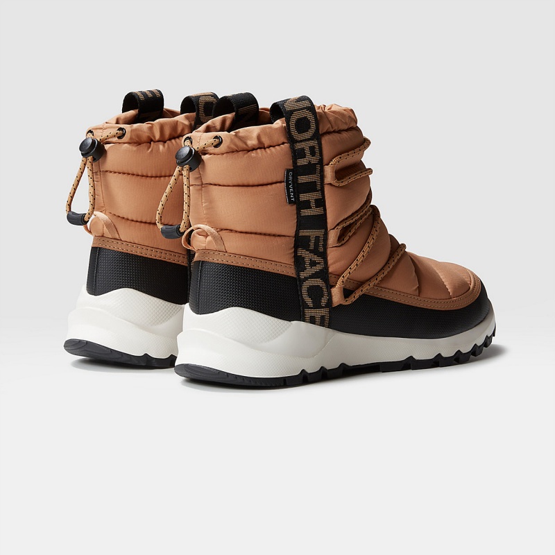 The North Face ThermoBall™ Waterproof Lace Up Winter Boots Almond Butter/Tnf Black | RKDEBO-728