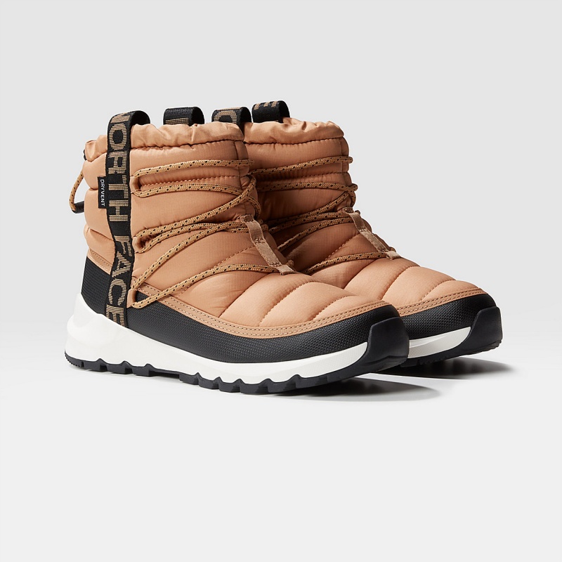 The North Face ThermoBall™ Waterproof Lace Up Winter Boots Almond Butter/Tnf Black | RKDEBO-728