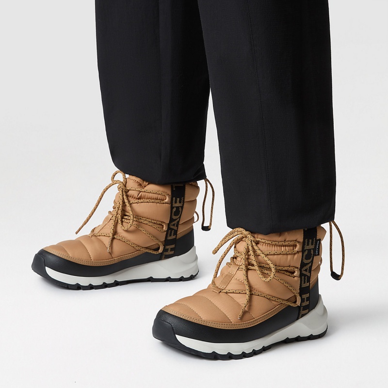 The North Face ThermoBall™ Waterproof Lace Up Winter Boots Almond Butter/Tnf Black | RKDEBO-728